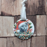 Animal - Acrylic Baubles (30+ designs)