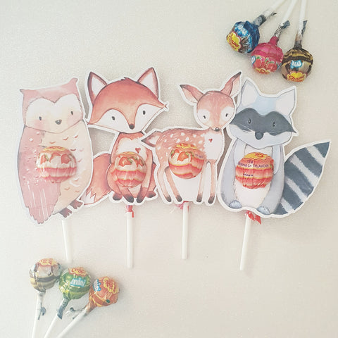 Woodland Animals mixed pack- Lollipop Holders